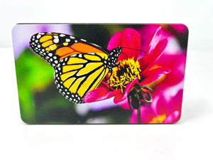 Monarch Butterfly Full Color UV Hitch Cover