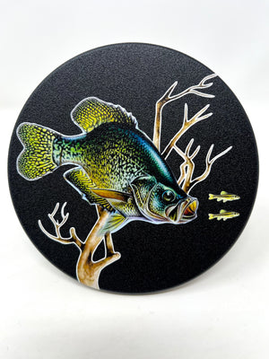 Crappie Fishing Color Hitch Cover
